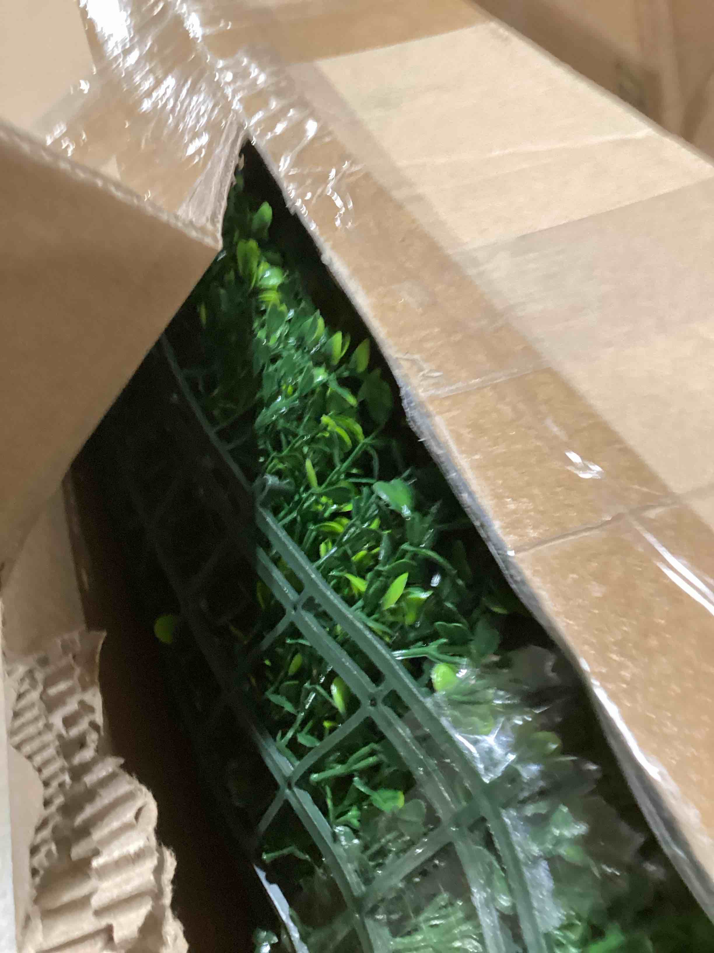 https://s3.amazonaws.com/lotting-images-prod/bidfta/YEL6846938_1728904162330.jpeg