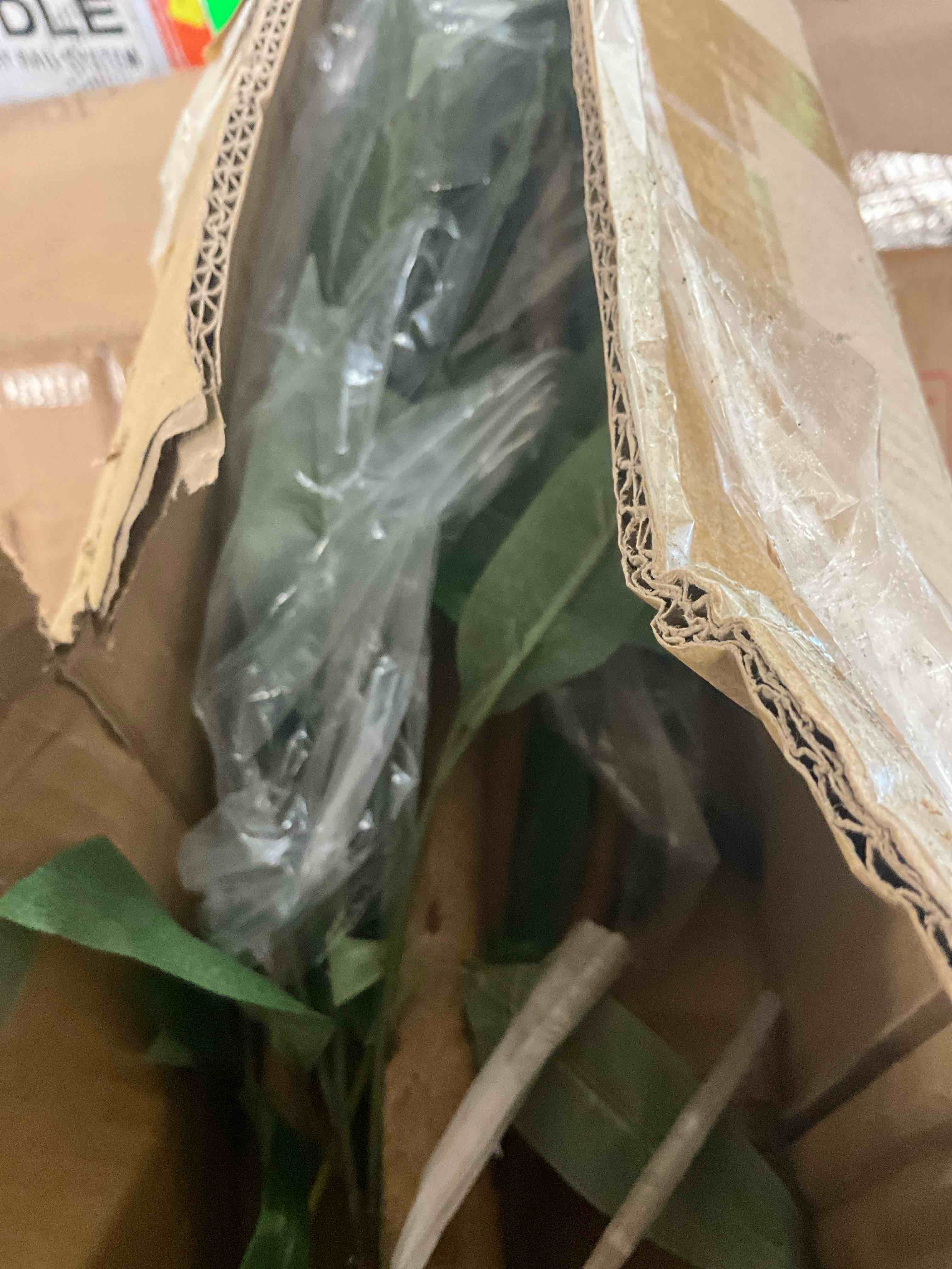 https://s3.amazonaws.com/lotting-images-prod/bidfta/YEL6866013_1728321745154.jpeg