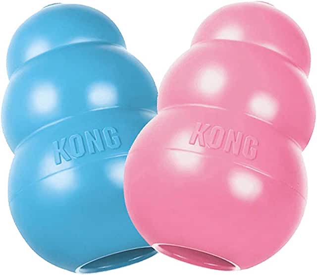 KONG - Puppy Toy Natural Teething Rubber - Fun to Chew, Chase and Fetch (Color May Vary)