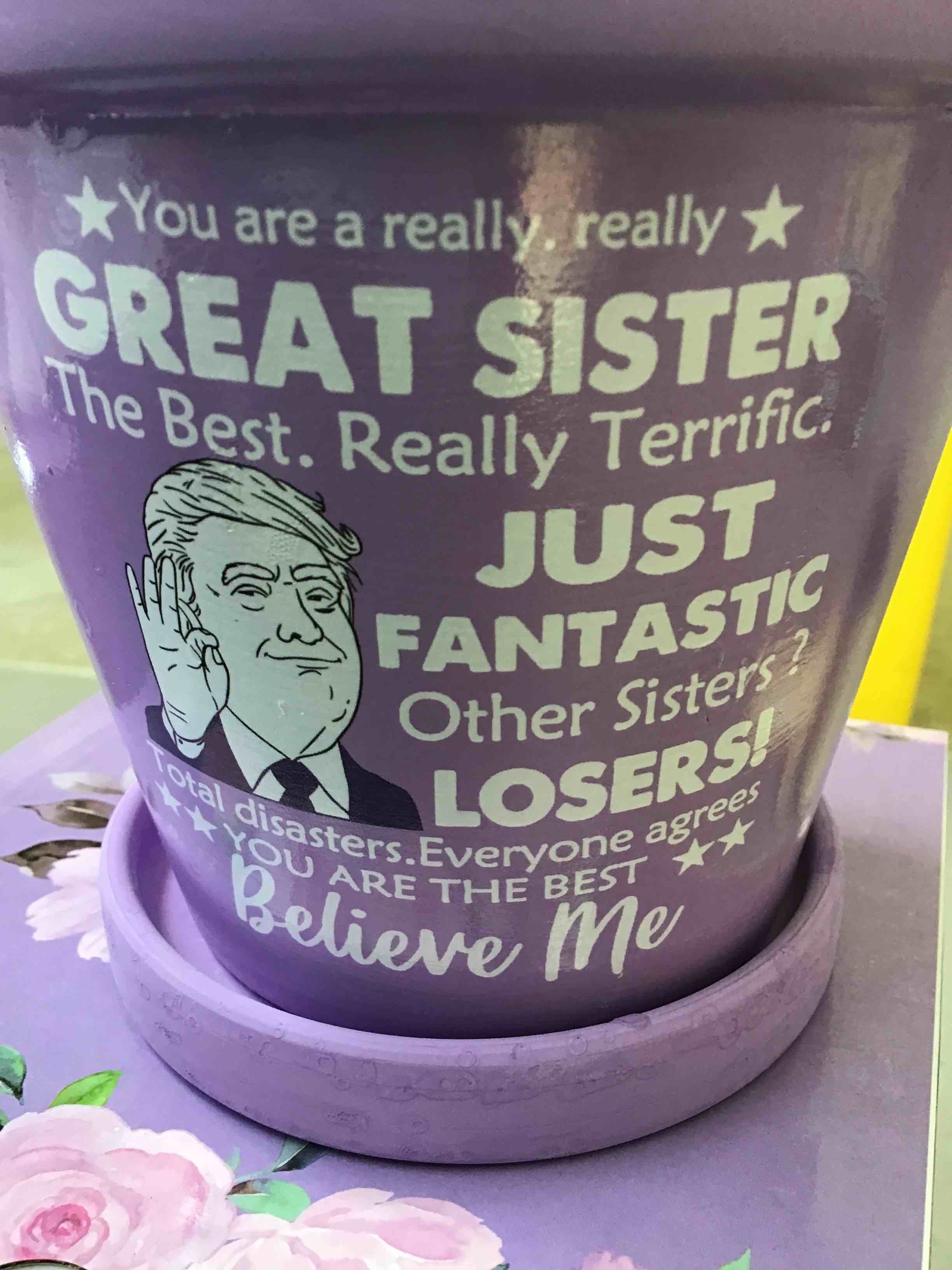 Gifts for Sister, Planter Pot Gifts with Drainage Hole and Saucer Indoor Outdoor(purple).