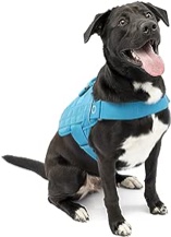 https://s3.amazonaws.com/lotting-images-prod/bidfta/_1694114375923.jpeg