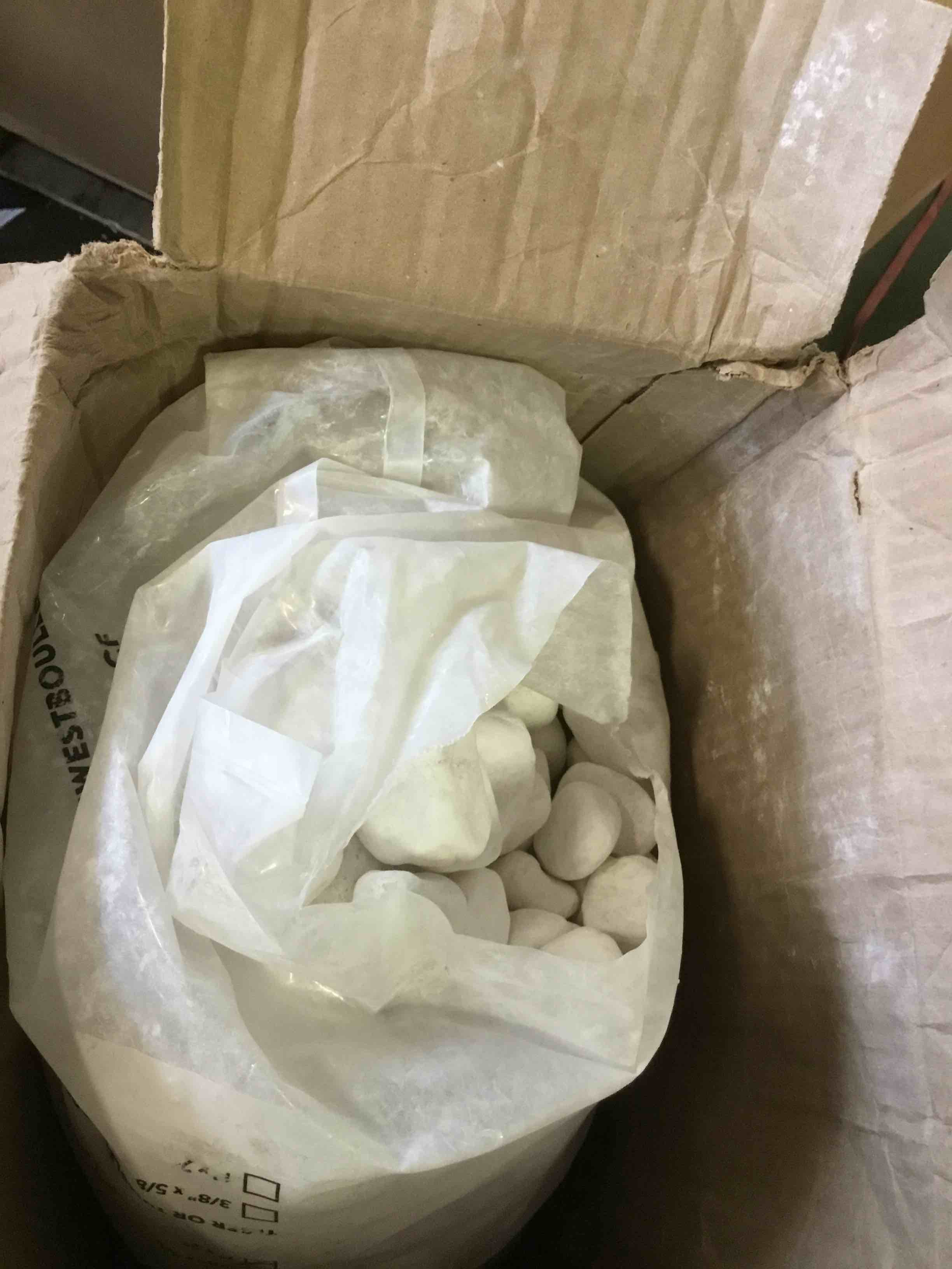 https://s3.amazonaws.com/lotting-images-prod/bidfta/_1695299244841.jpeg