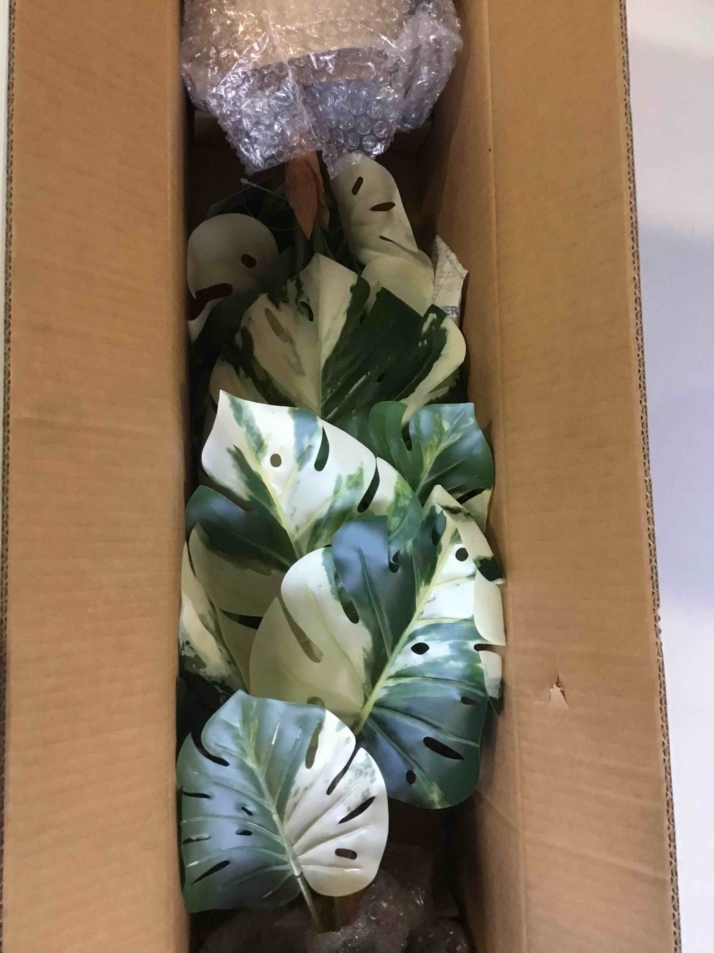 https://s3.amazonaws.com/lotting-images-prod/bidfta/_1695907016022.jpeg