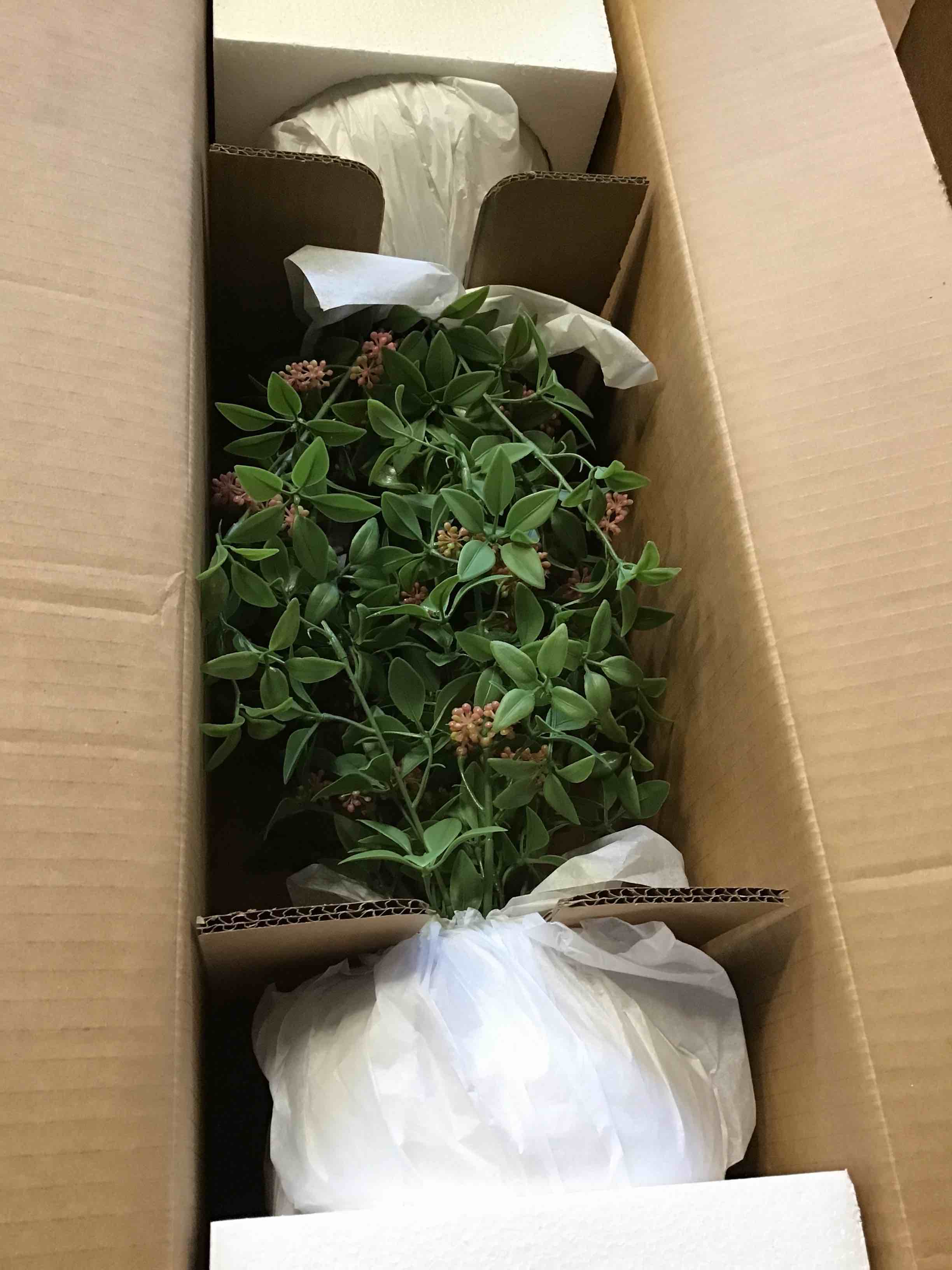 https://s3.amazonaws.com/lotting-images-prod/bidfta/_1696273516168.jpeg