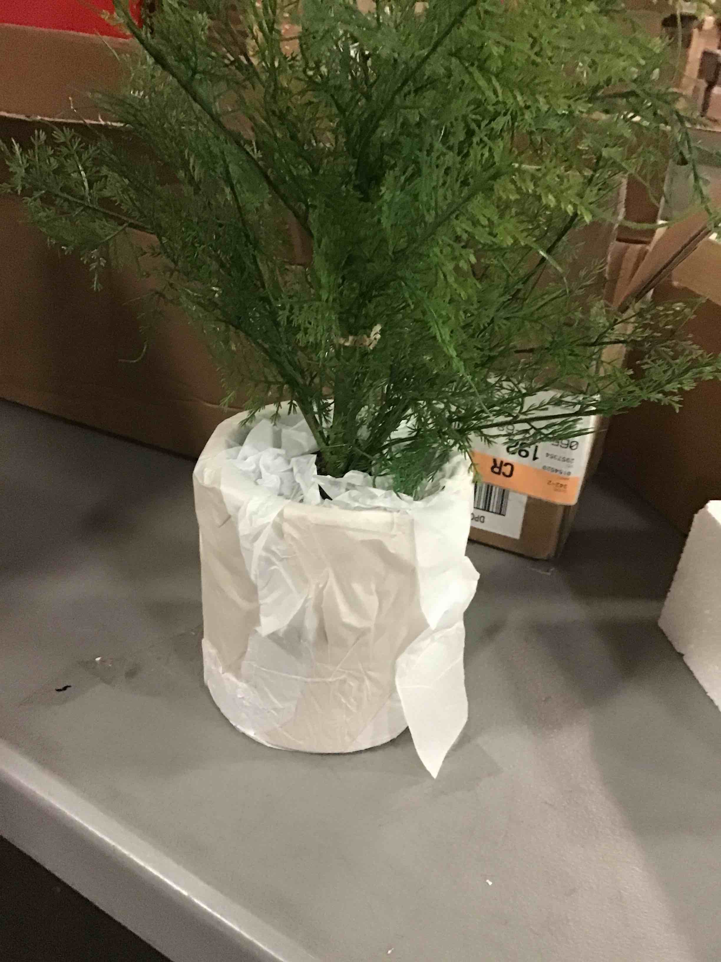 https://s3.amazonaws.com/lotting-images-prod/bidfta/_1697455389959.jpeg