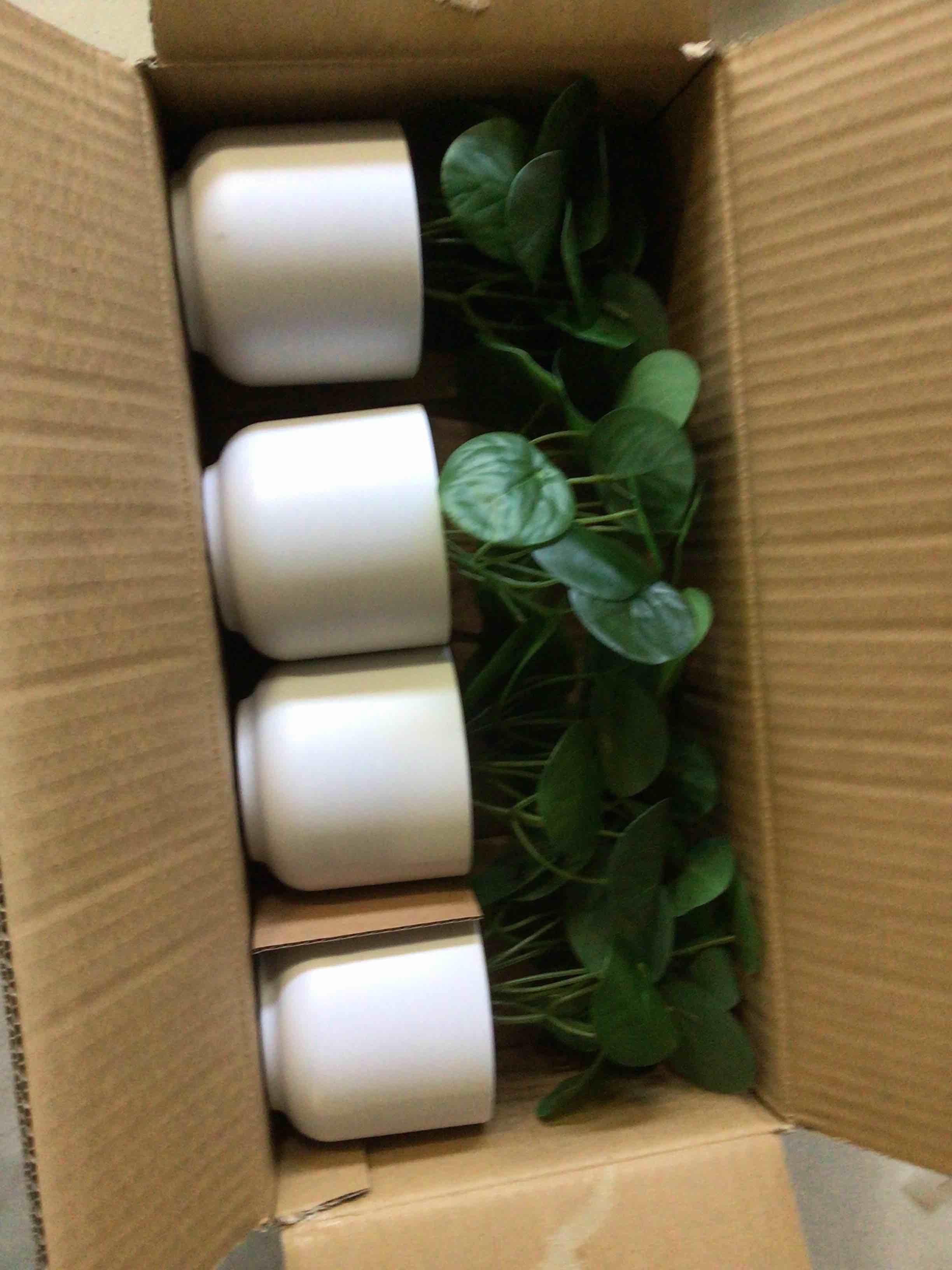 https://s3.amazonaws.com/lotting-images-prod/bidfta/_1698852507463.jpeg