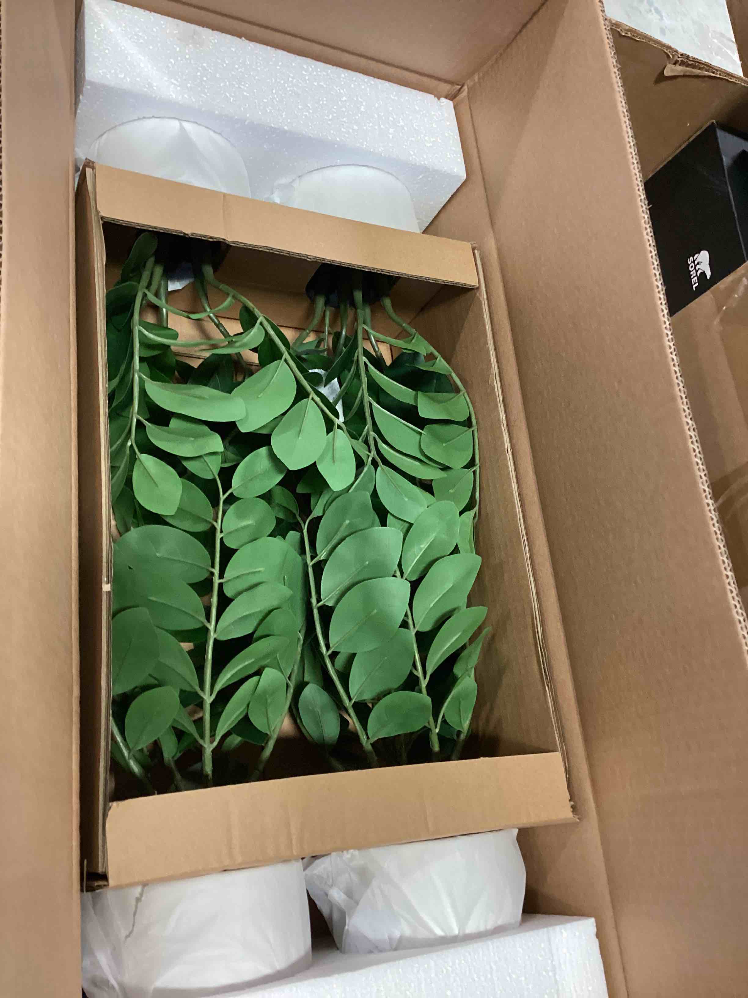 https://s3.amazonaws.com/lotting-images-prod/bidfta/_1706106949328.jpeg