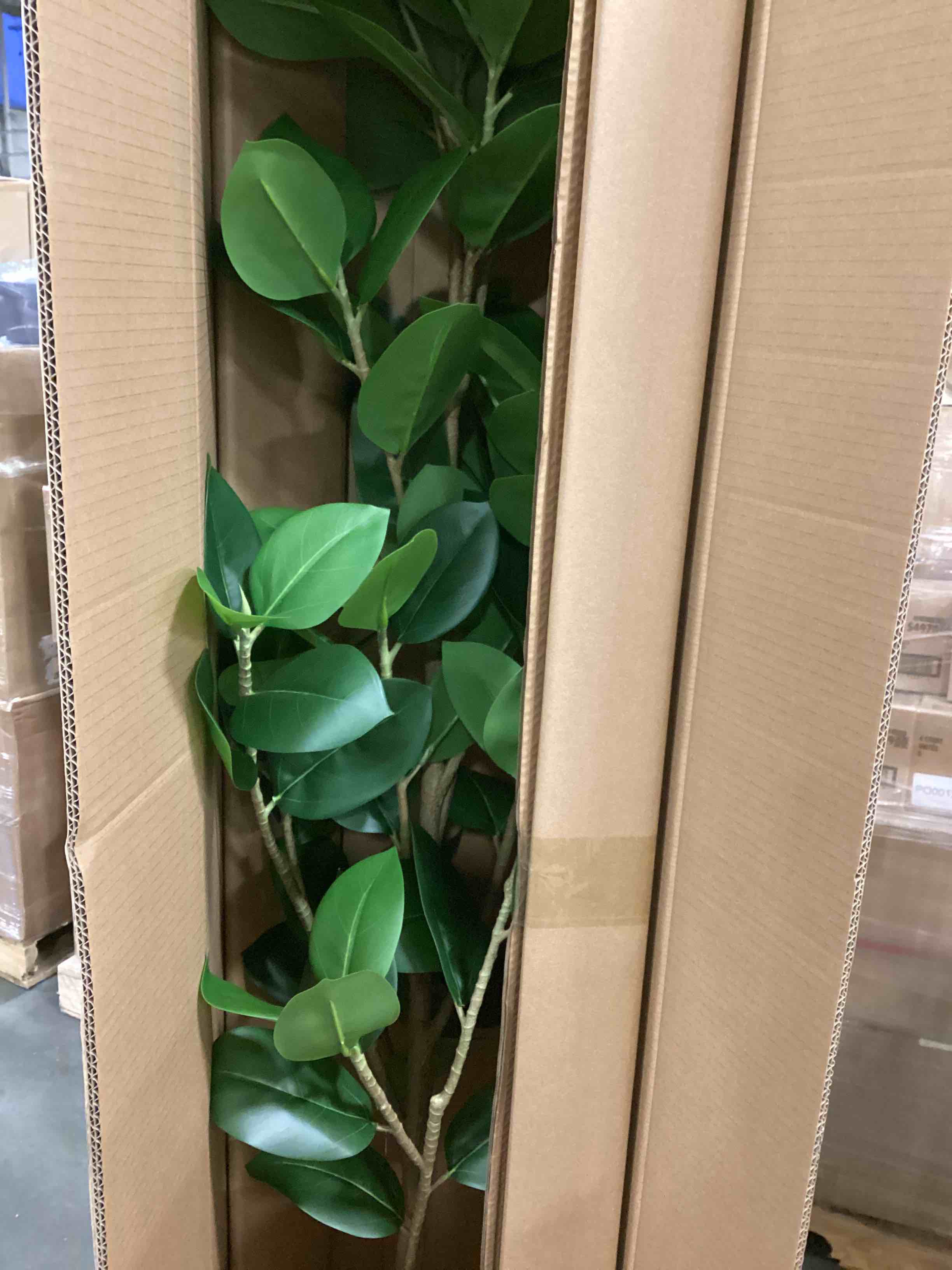 https://s3.amazonaws.com/lotting-images-prod/bidfta/_1706618336580.jpeg