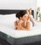cariloha resort bamboo memory foam  size twin 