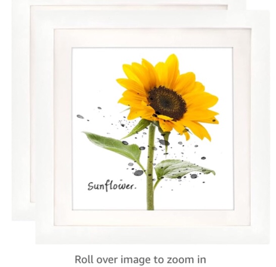 DDaoty 10x10 Picture Frames Set of 2, Made of Solid Wood Square Picture Frames with High Definition Real Glass White 10x10 inch (2PK)
