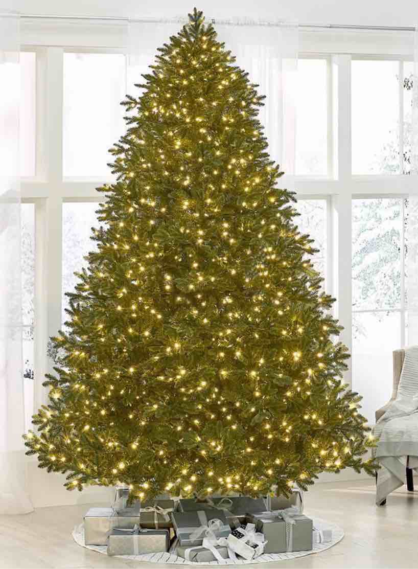 The World's Best Prelit LED Noble Fir