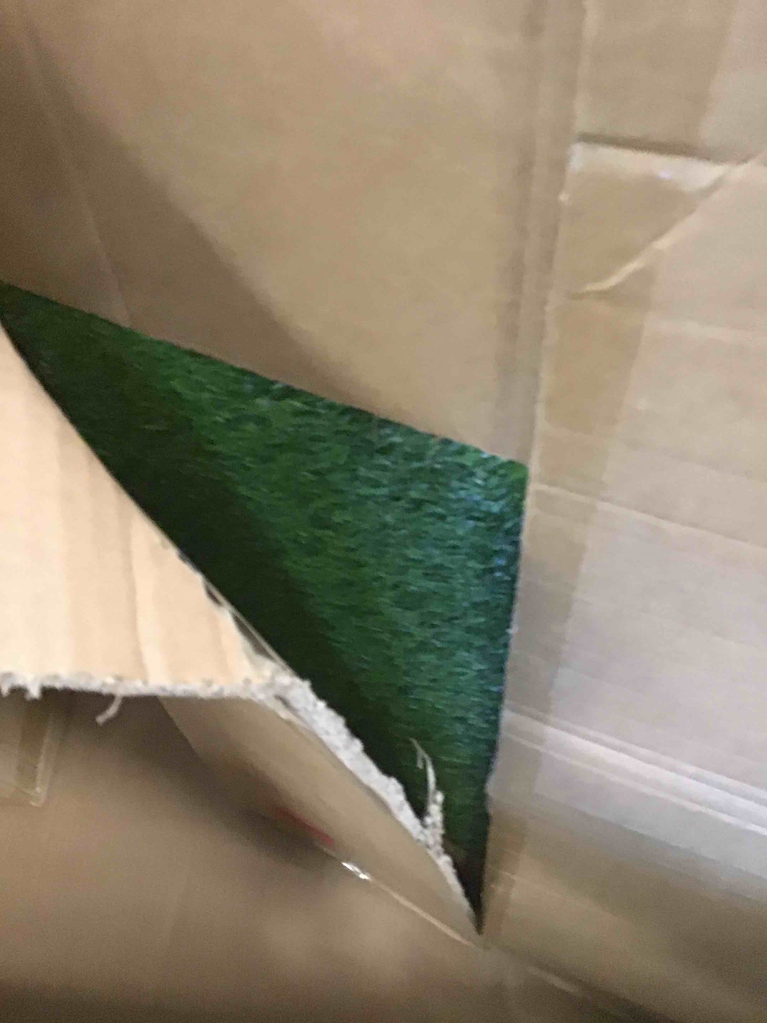 https://s3.amazonaws.com/lotting-images-prod/bidfta/_1729540525144.jpeg