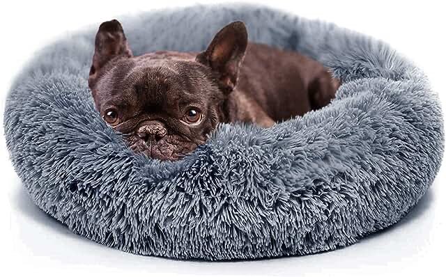 Dog Bed Comfiest Indoor Calming Waterproof Bedding Washable Fluffy Chew Proof Self Warming Cozy for Small Pets at Home Coffee