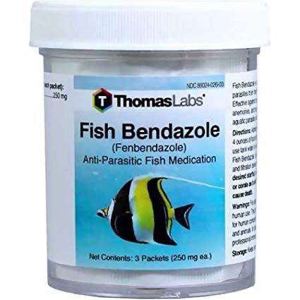 Fish Bendazole - Fenbendazole 250 mg Powder Packets 