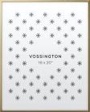 Vossington 16x20 Picture Frame Brushed Gold 