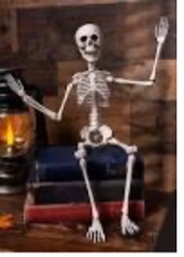 Skeleton Poseable Halloween Decoration