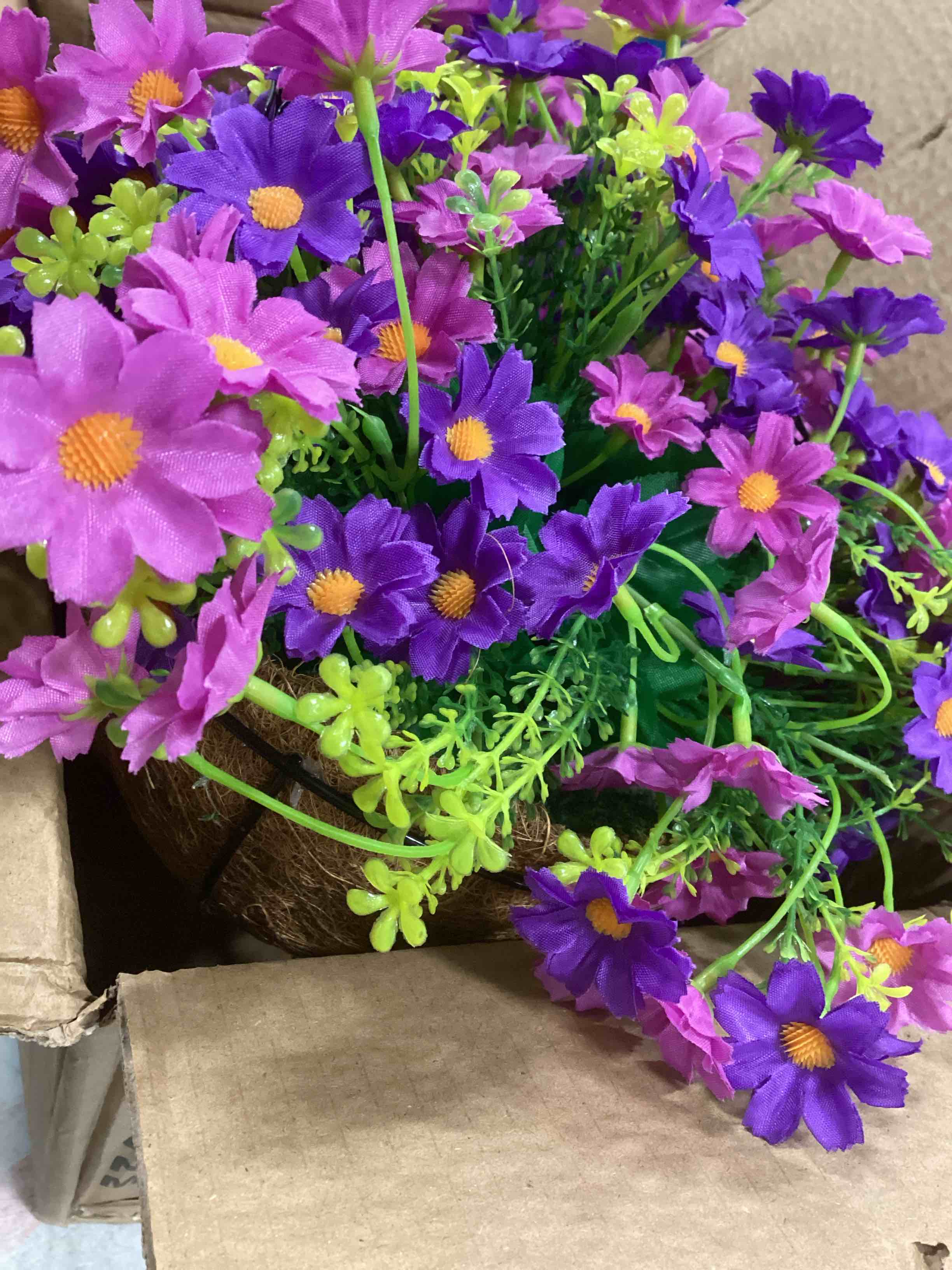 https://s3.amazonaws.com/lotting-images-prod/bidfta/_1738588367902.jpeg