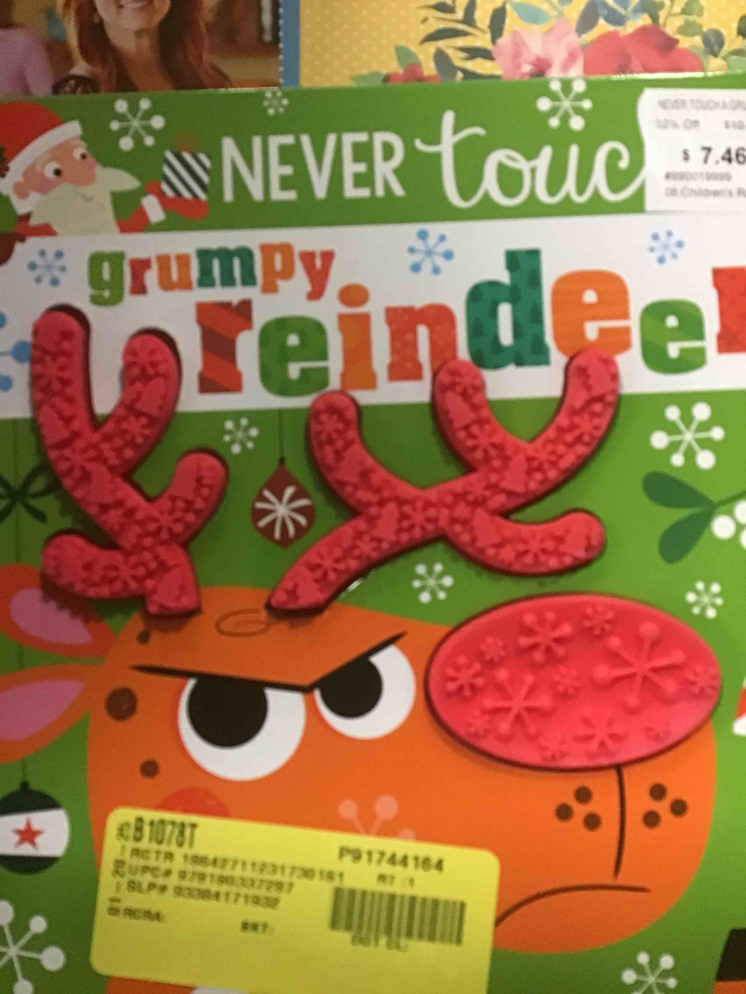 Never Touch a Grumpy Reindeer! - by Rosie Greening (Hardcover)