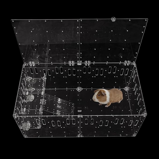 Acrylic Pet Cage - DIY Extendable & Stackable Starter with Ladder Platform,Movable Pet Pen, Ideal for Small Animals: Guinea Pigs, Chinchillas, Ferrets, Hedgehogs (Disposable Bottom)