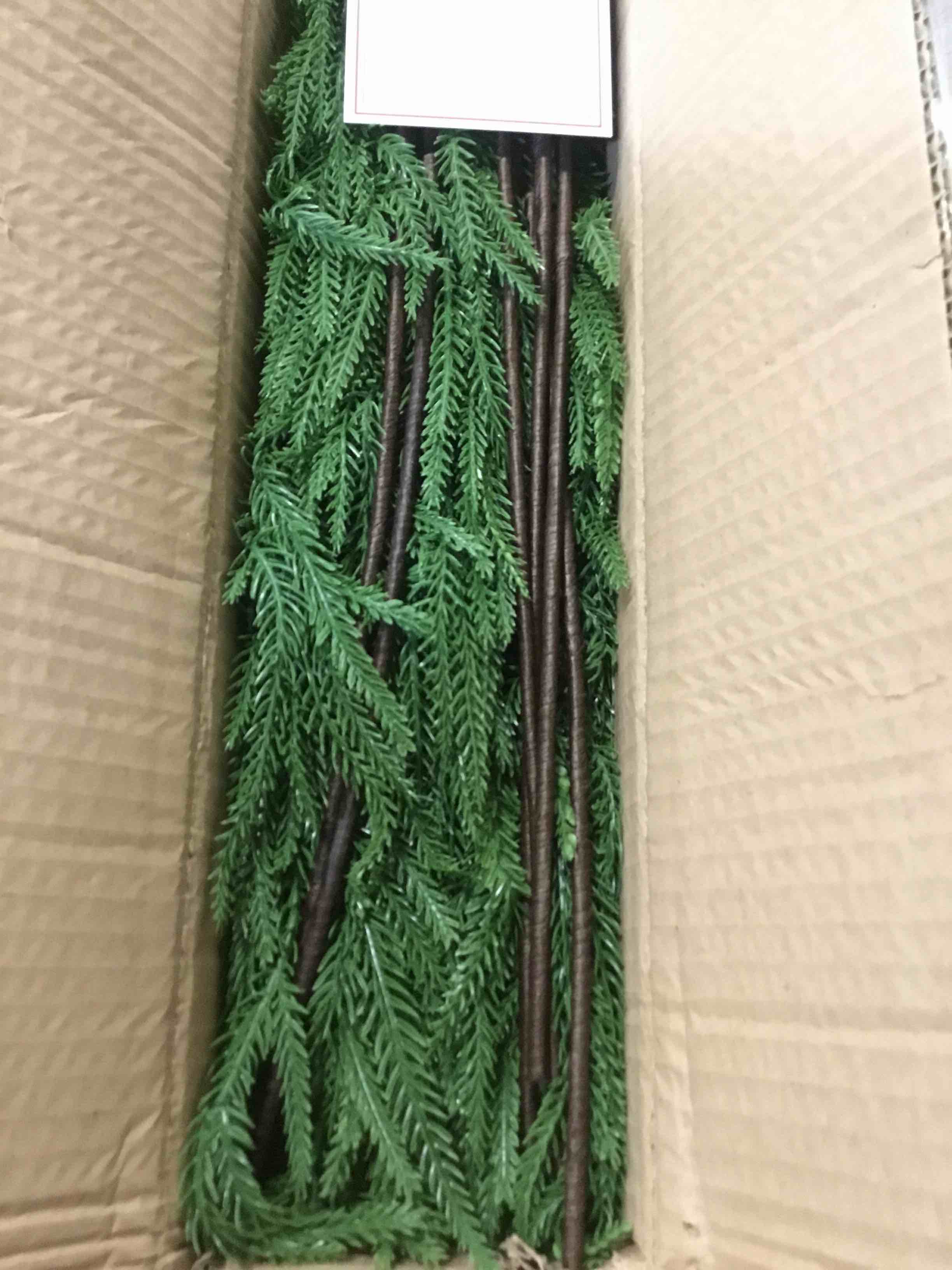 https://s3.amazonaws.com/lotting-images-prod/bidfta/_1739464288251.jpeg