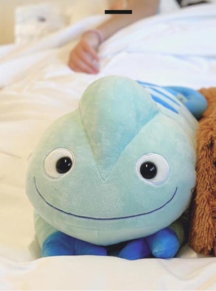 Tons of Love Weighted Stuffed Animals for Adults Teens & Kids - Weighted Stuffed Animals for Better Sleep - Emotional Support Plush - Big Stuffed Animal for Stress Relief & Better Gifts 5 lbs 23In