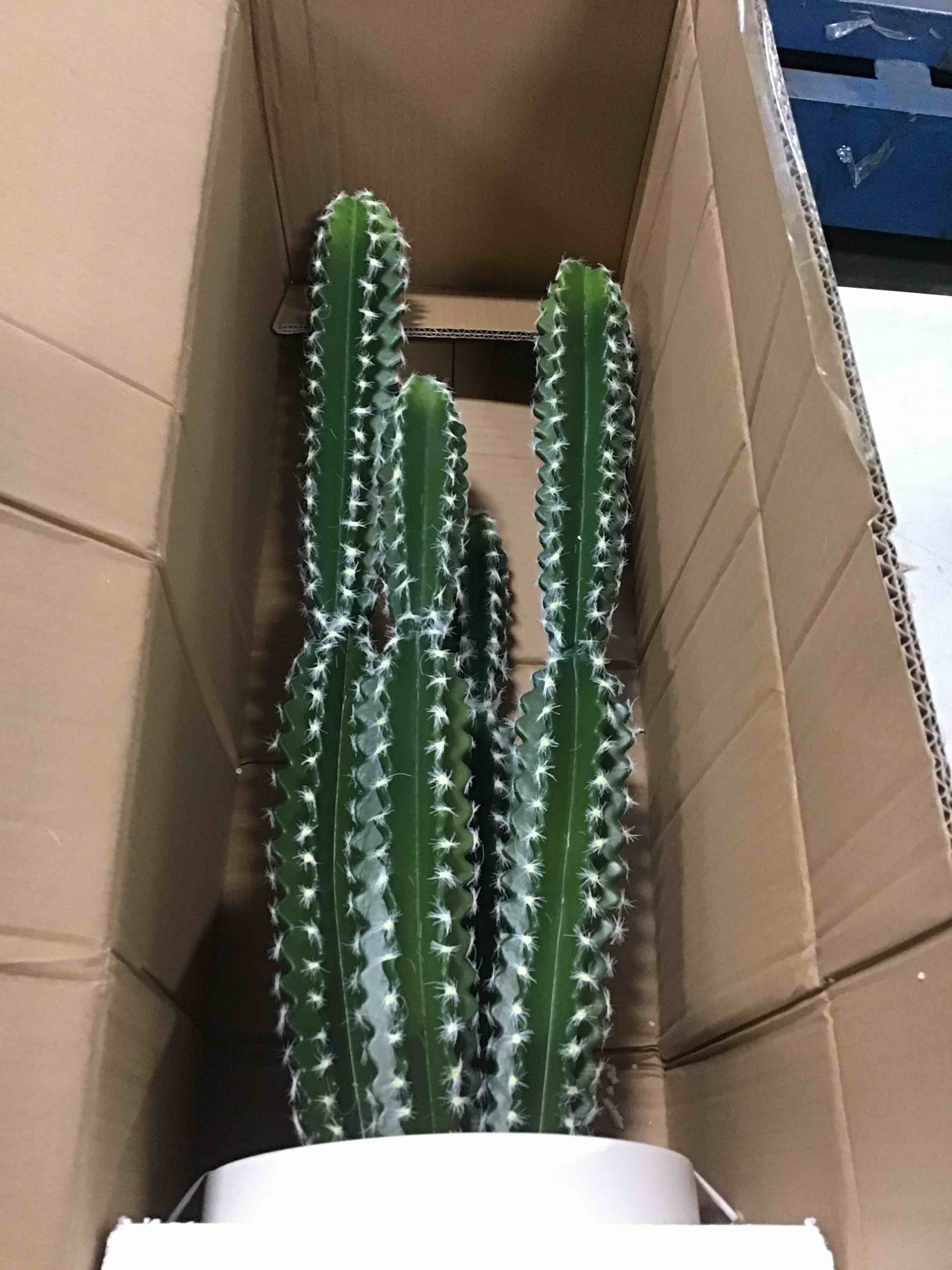 https://s3.amazonaws.com/lotting-images-prod/bidfta/_1745584078454.jpeg