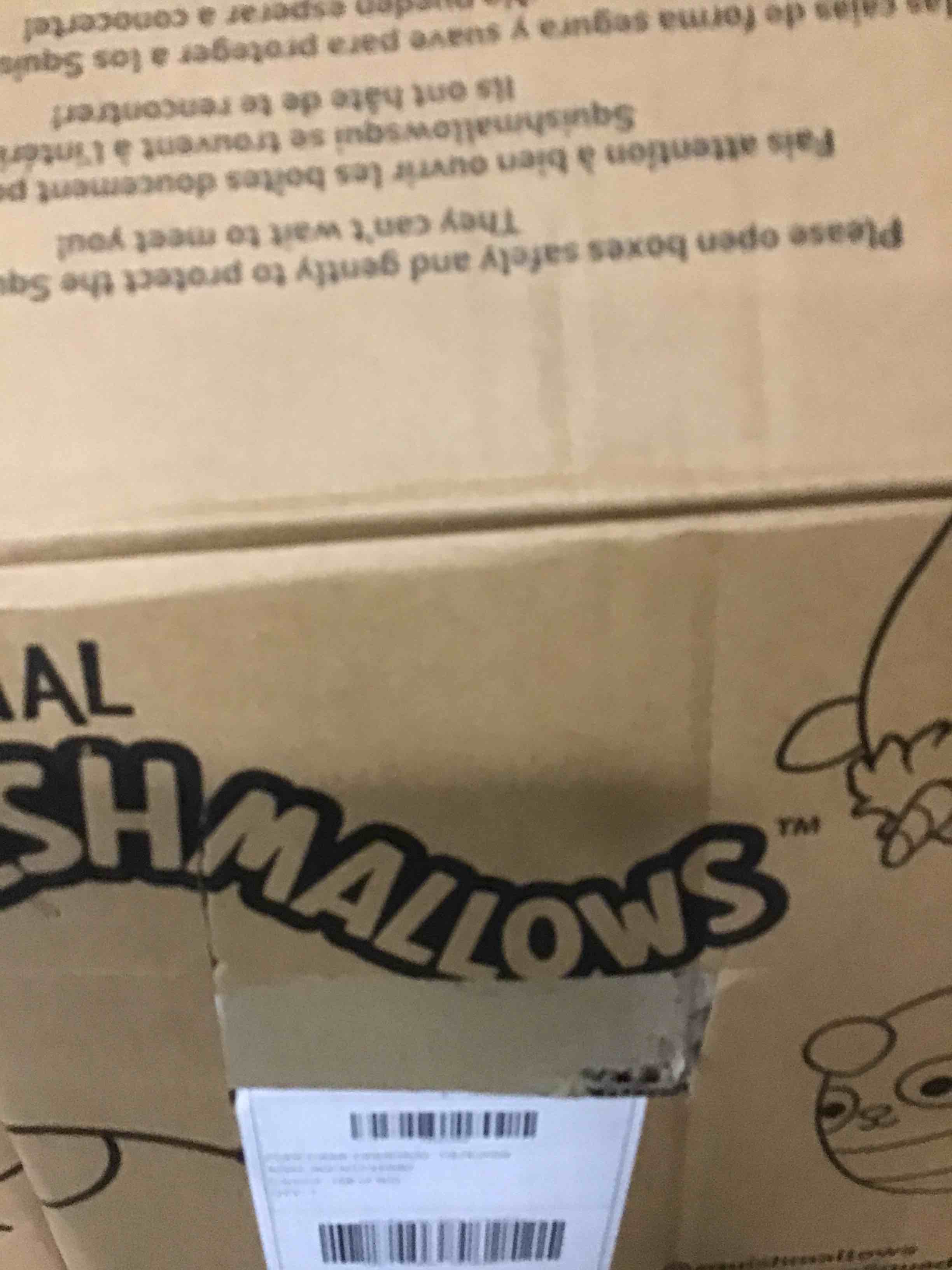 https://s3.amazonaws.com/lotting-images-prod/bidfta/_1746469583583.jpeg
