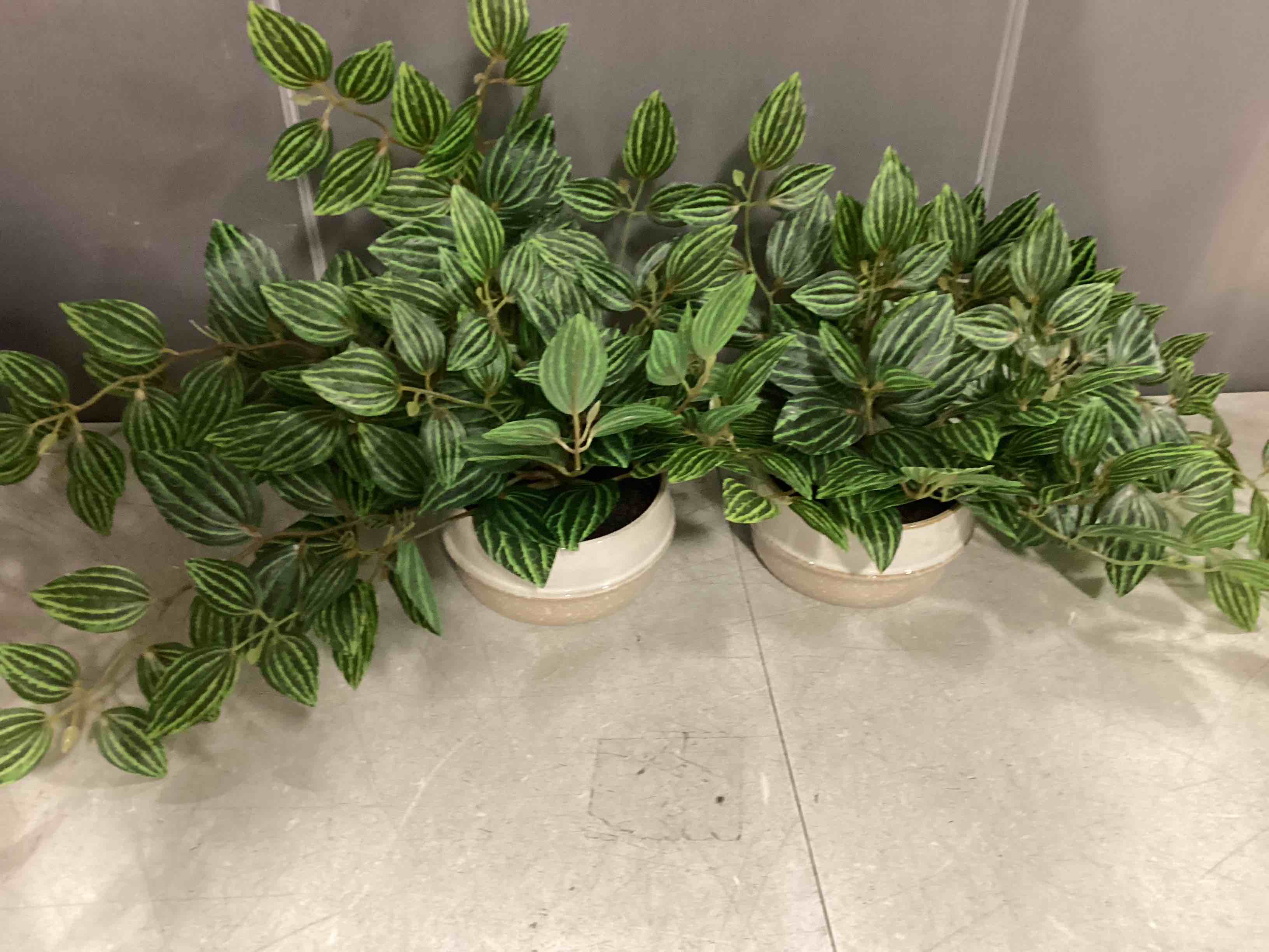 (( Case Pack Of 2)) Artificial Trailing Zebra Plant Dark - Threshold™: Faux Peperomia, Indoor Decor, Stoneware Pot