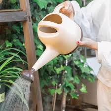 Watering Can, 1 Gallon Watering cans for Outdoor House Plants, Detachable Shower Head Long Spout Garden Water Can for Indoor Plants, Plastic, Large, Flowers, Watering Pot (4L, Cream-Colored)