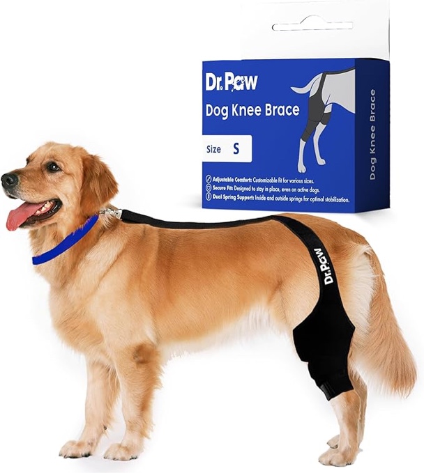 (( Size Small)) Dr. Paw Dog ACL Knee Brace, Dog Knee Brace for Torn ACL Hind Leg, Dog ACL Brace hind Leg, Dog Leg Br