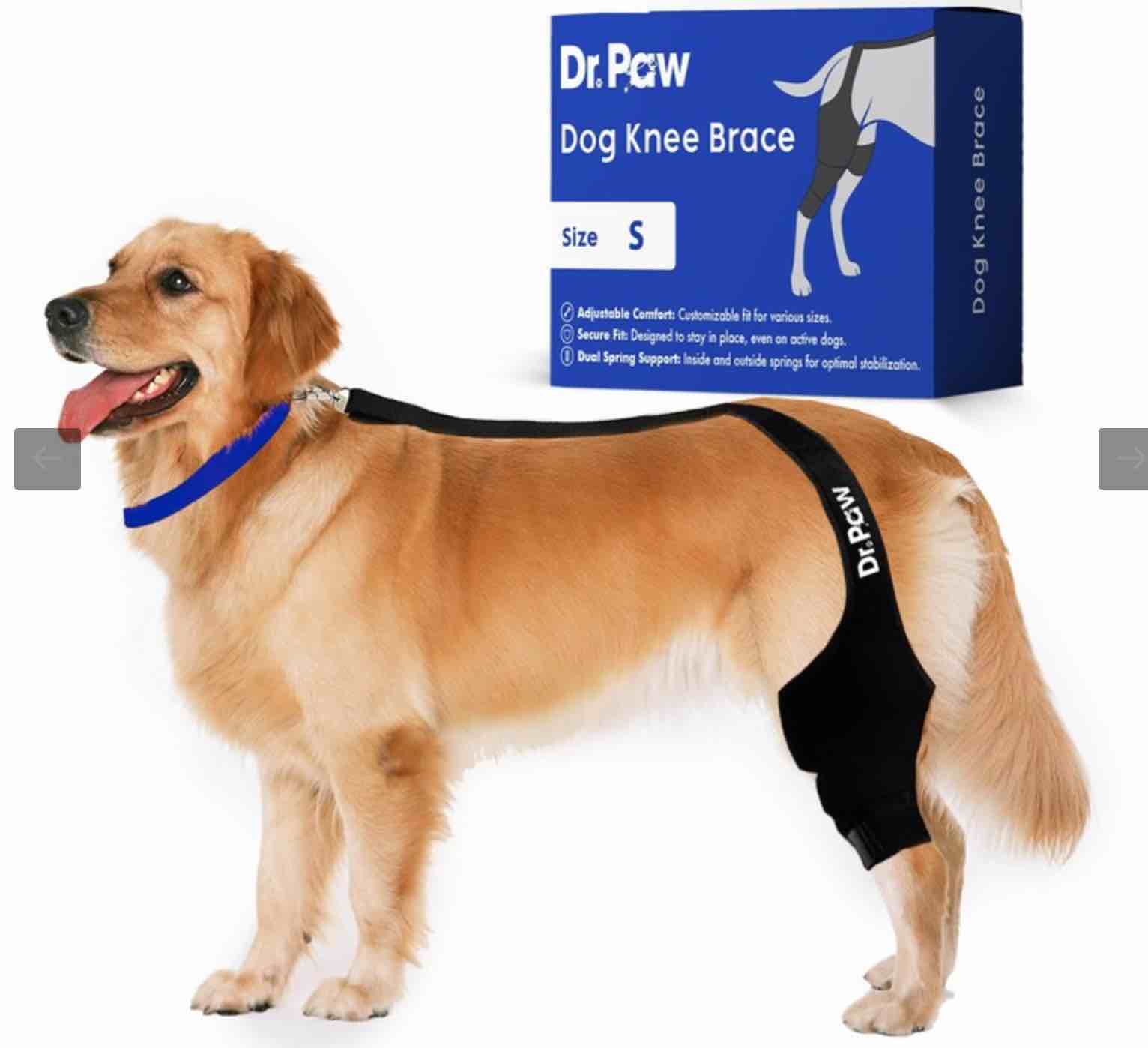 Dr. Paw Dog ACL Knee Brace, Dog Knee Brace for Torn ACL Hind Leg, Dog ACL Brace hind Leg, Dog Leg Br, Size XL (Box Damaged)