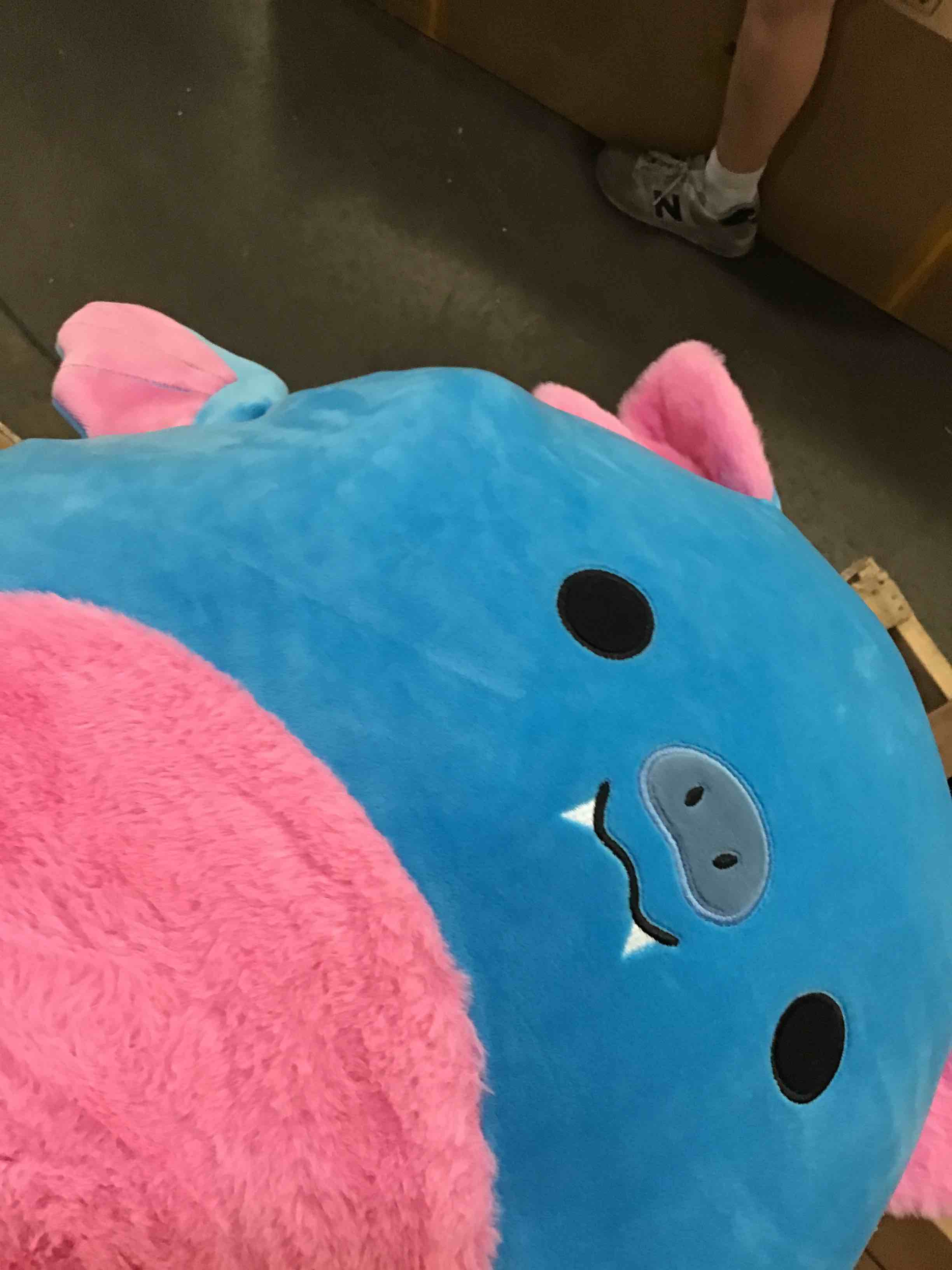 https://s3.amazonaws.com/lotting-images-prod/bidfta/_1751047612862.jpeg
