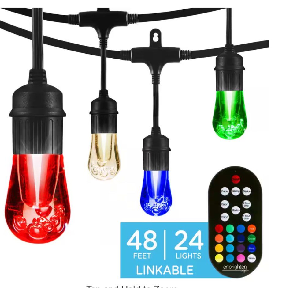 24 Bulbs 48 ft. Outdoor/Indoor Vintage Color Changing LED String Lights with Remote, Acrylic Edison Bulbs