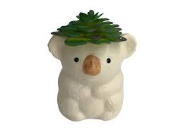 Koala Succulent Planter 