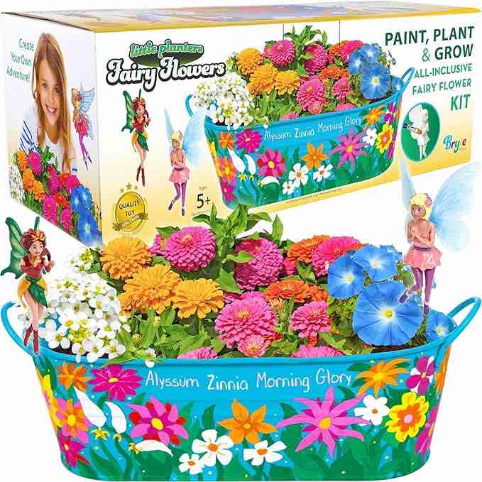 Little Planters Fairy Flowers Paint, Plant & Grow Fairy Flower Kit