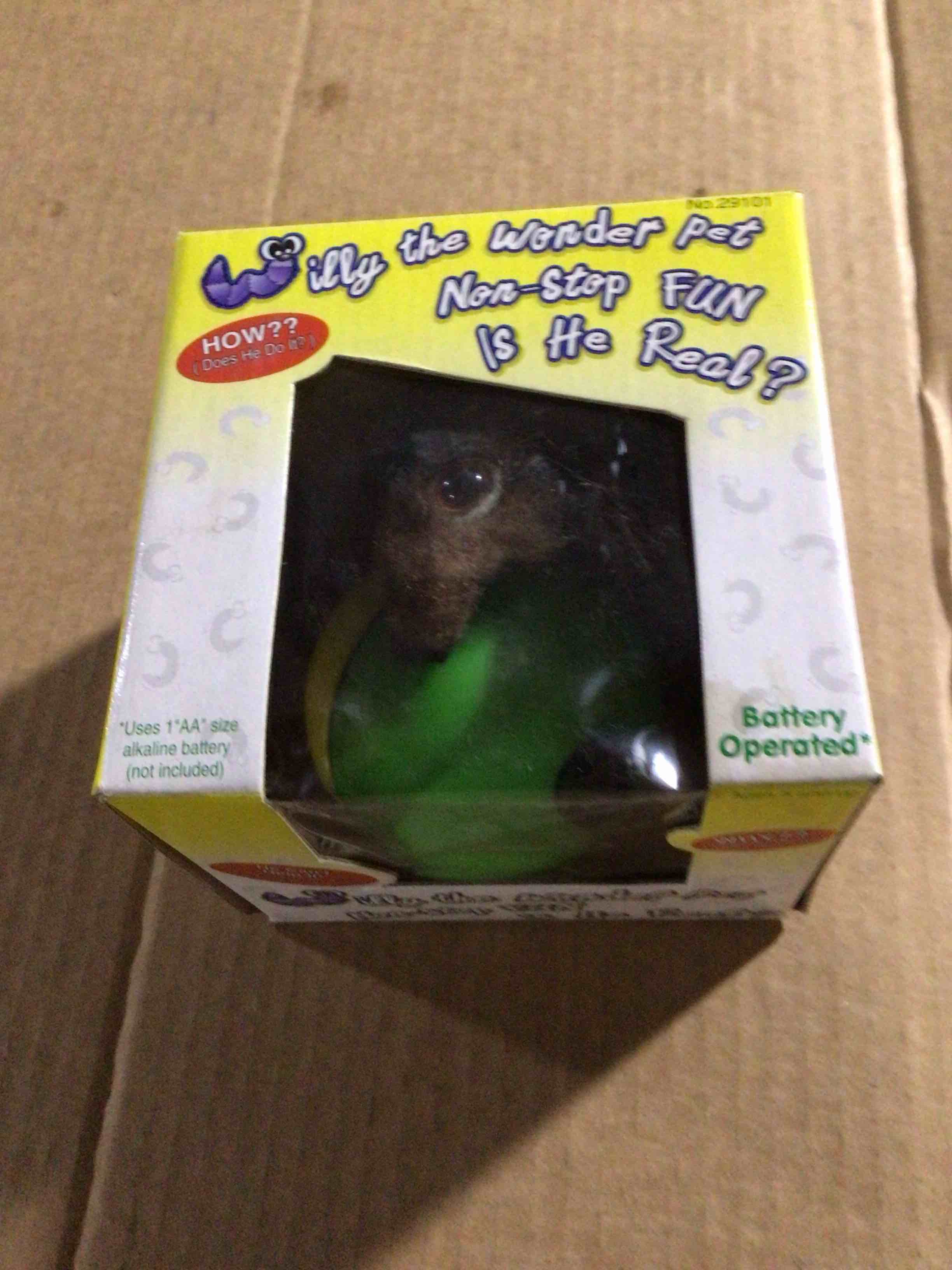 Crazy Critter W Ball