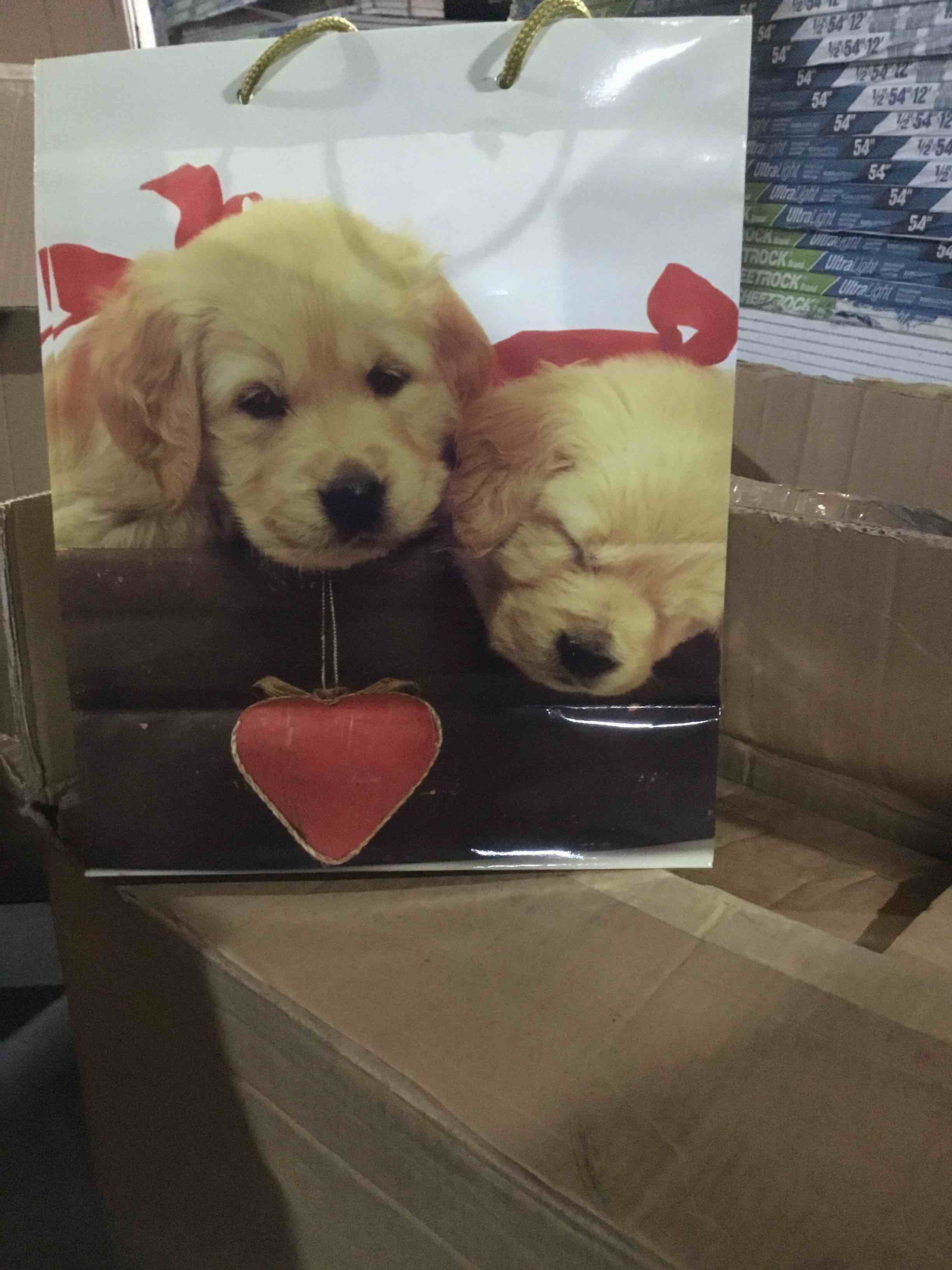 Box of 108 large dog Gift Bags