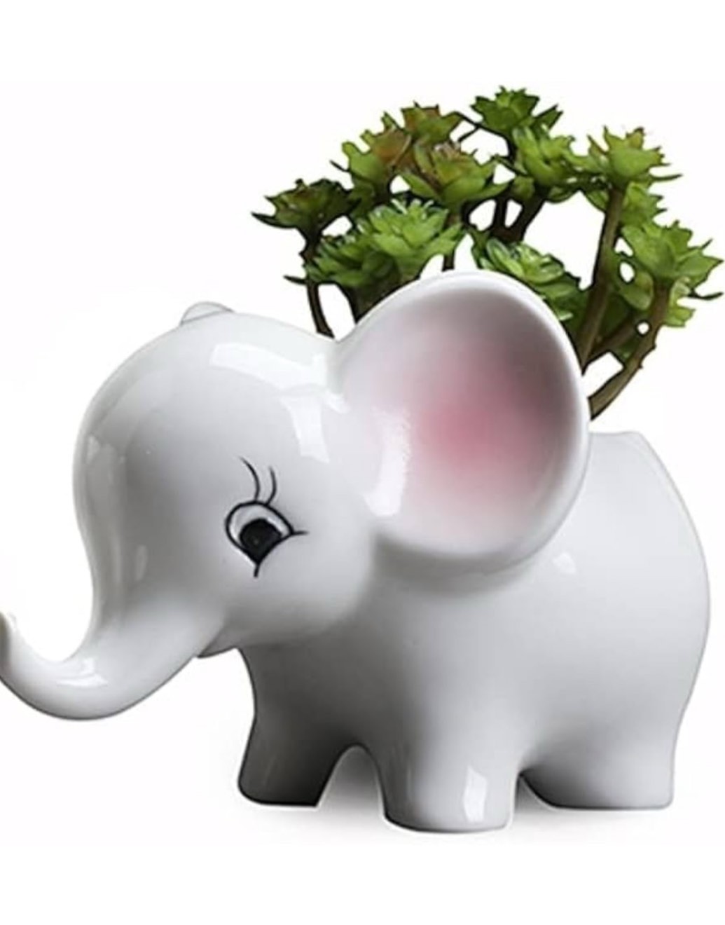Mattys Garden Elephant Succulent Planter