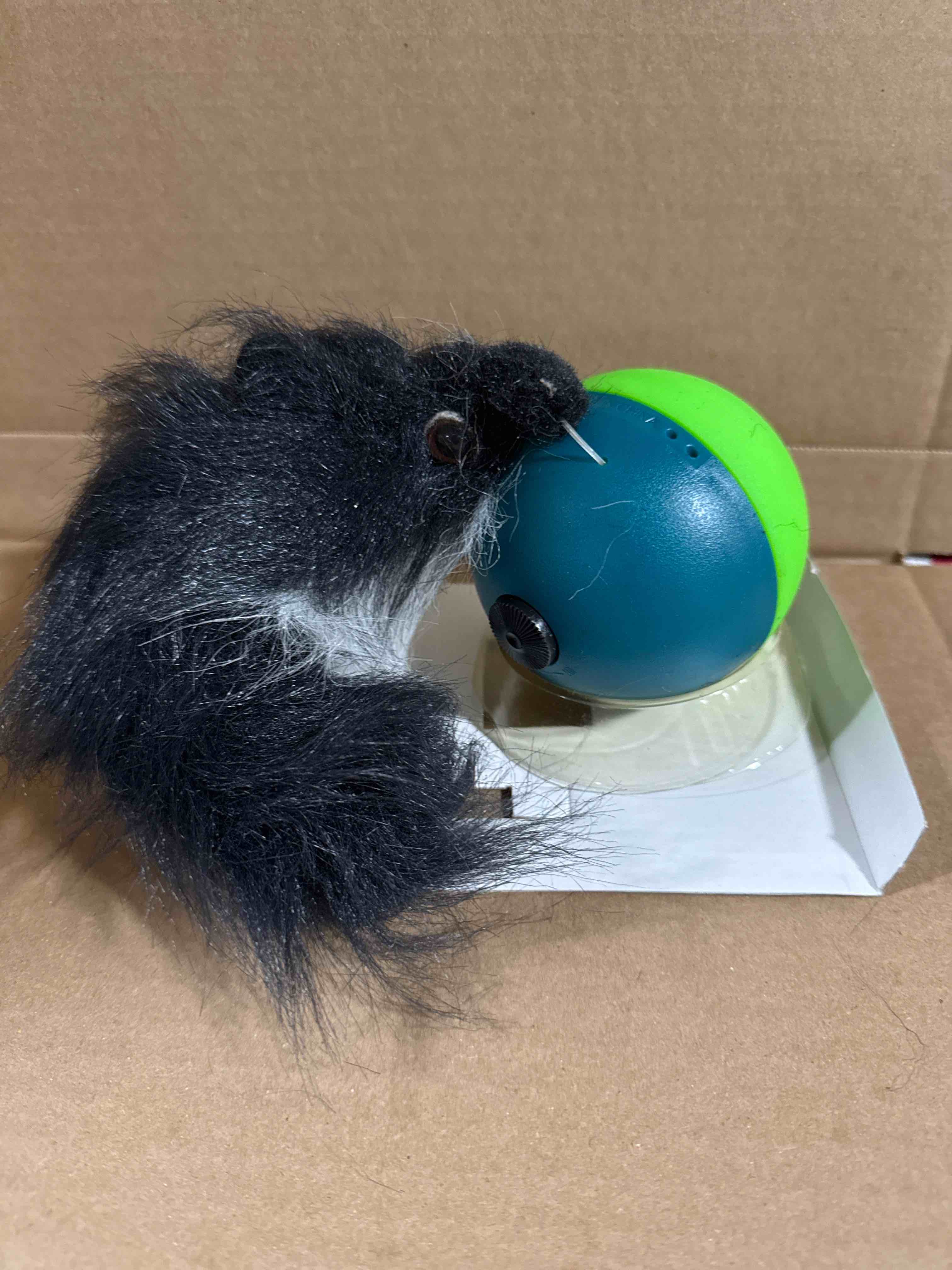 Crazy Critter W Ball