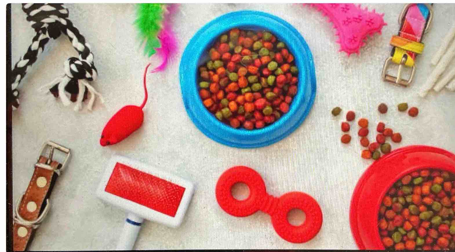 Assortment Of Small Pet Items, Miscellaneous Small, Variety Of Items Multiple Pieces, 5 Pieces total