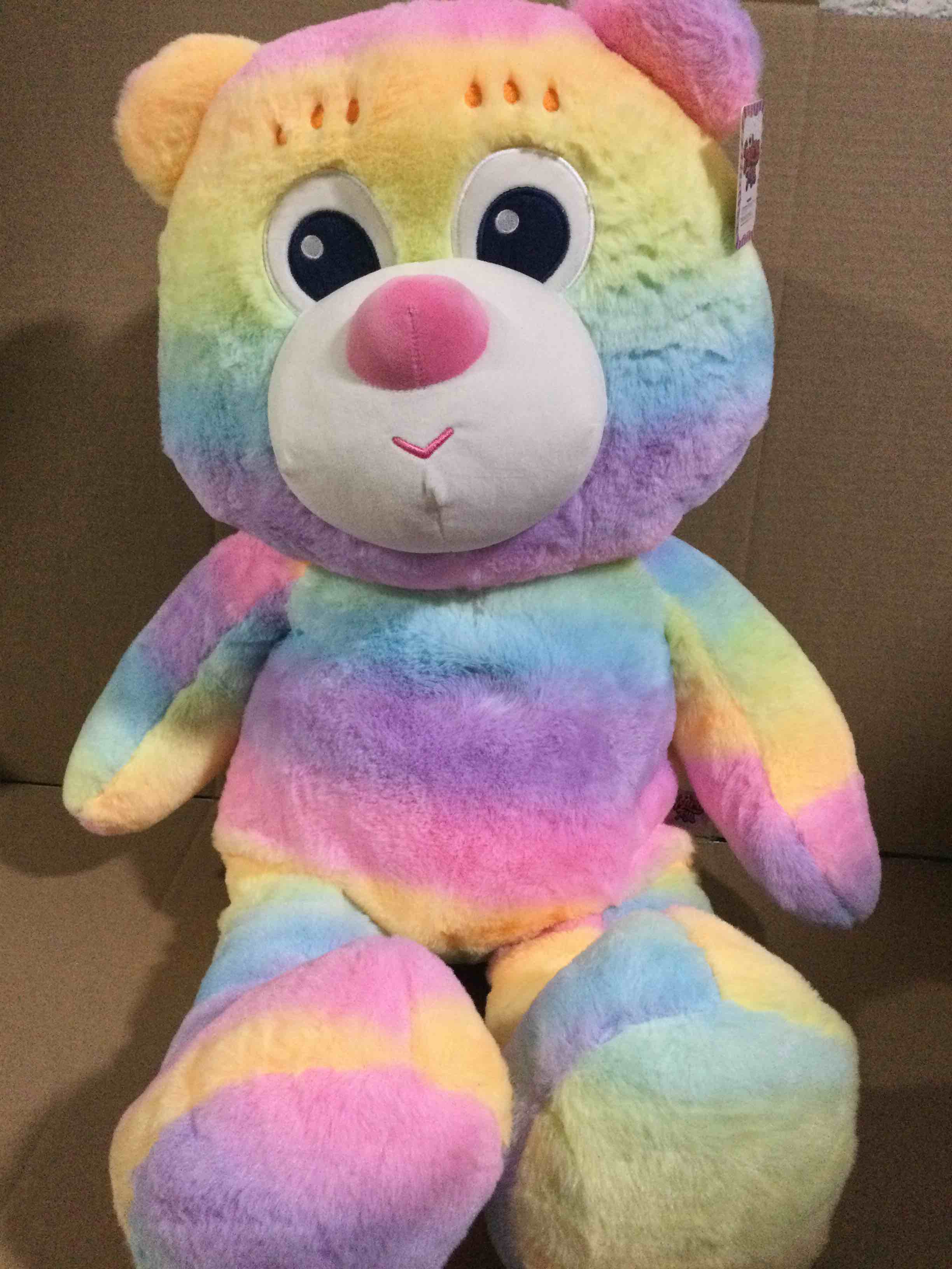  25” lovely rainbow teddy bear 