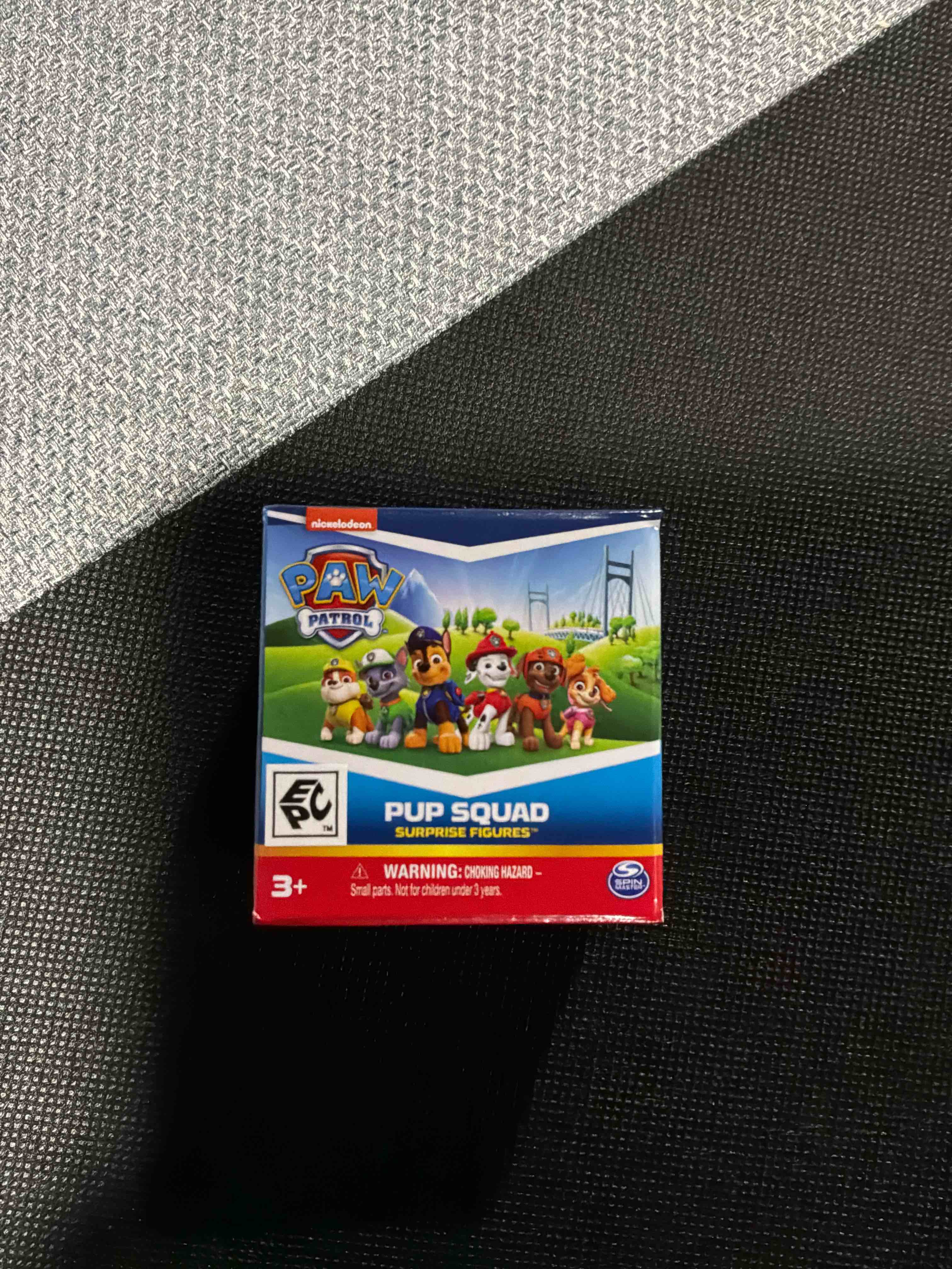 PAW Patrol Chase Pawket Figure