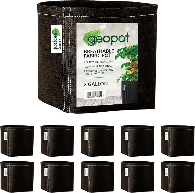 Pack of 10 Geopot Planter Fabric Pots Square Bottom Black 2 Gallon 