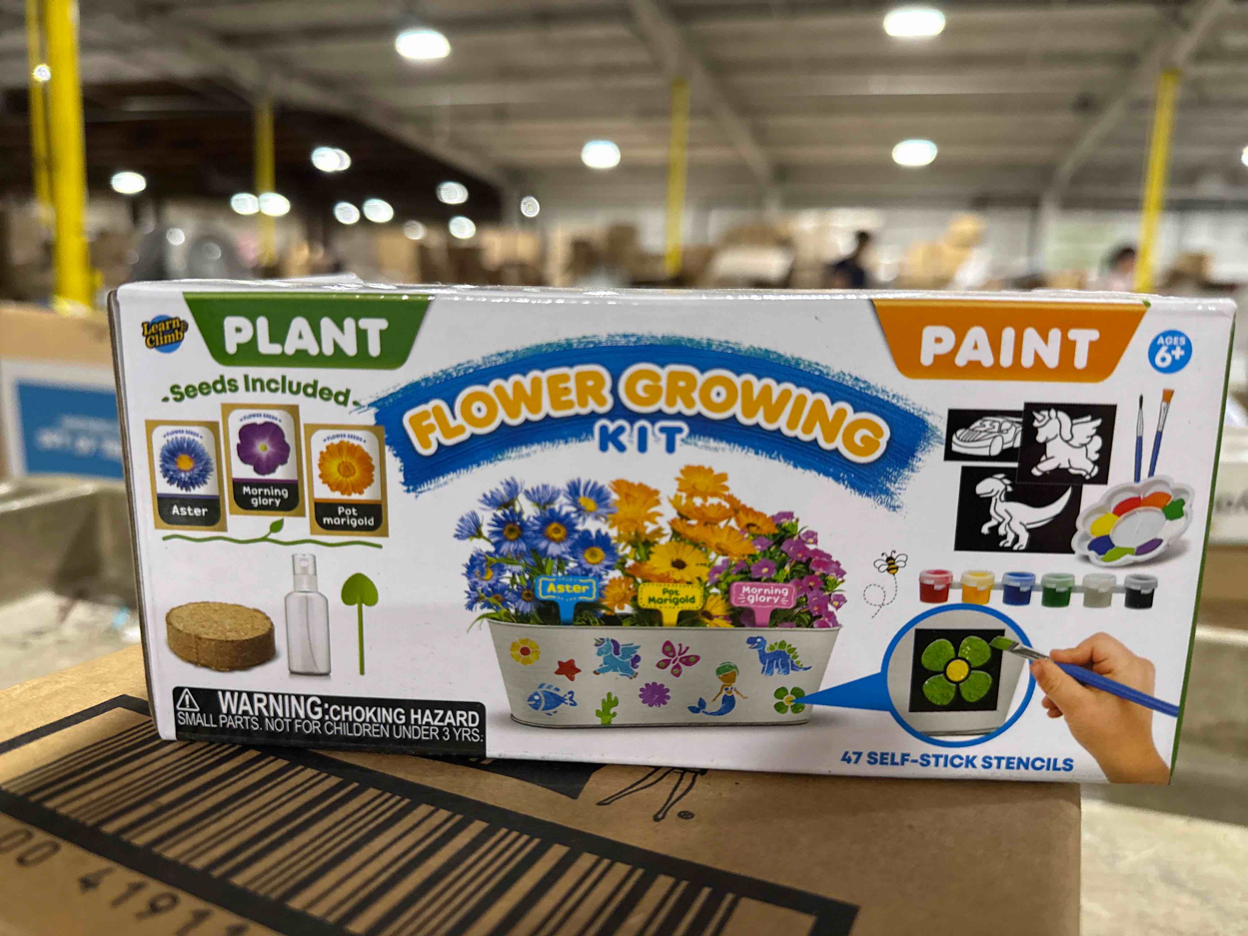 Learn & Climb Flower Growing Activity Kit 