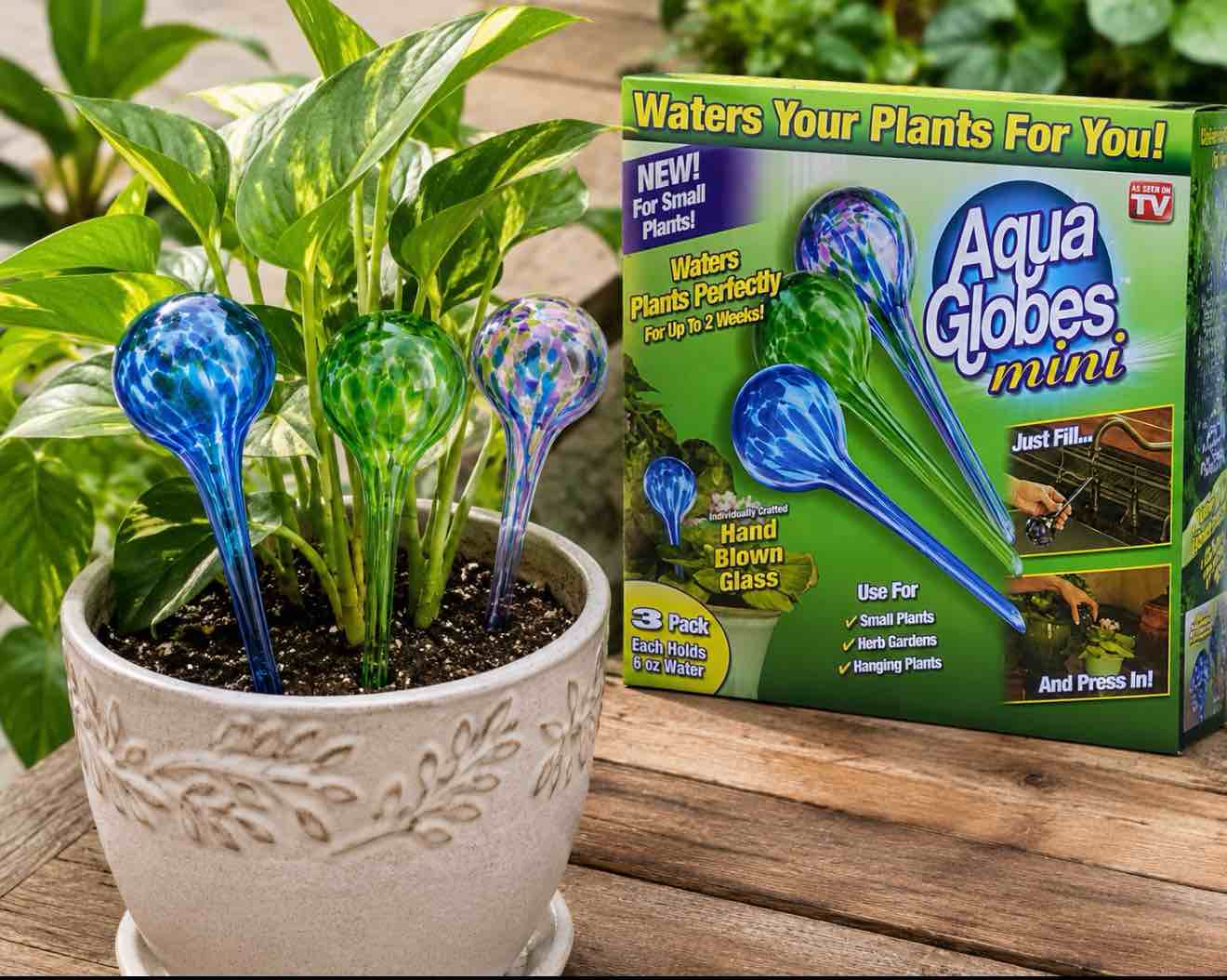 Aqua Globe Mini - 3 Pack - Decorative Hand-blown Glass Small Plant Watering Bulbs
