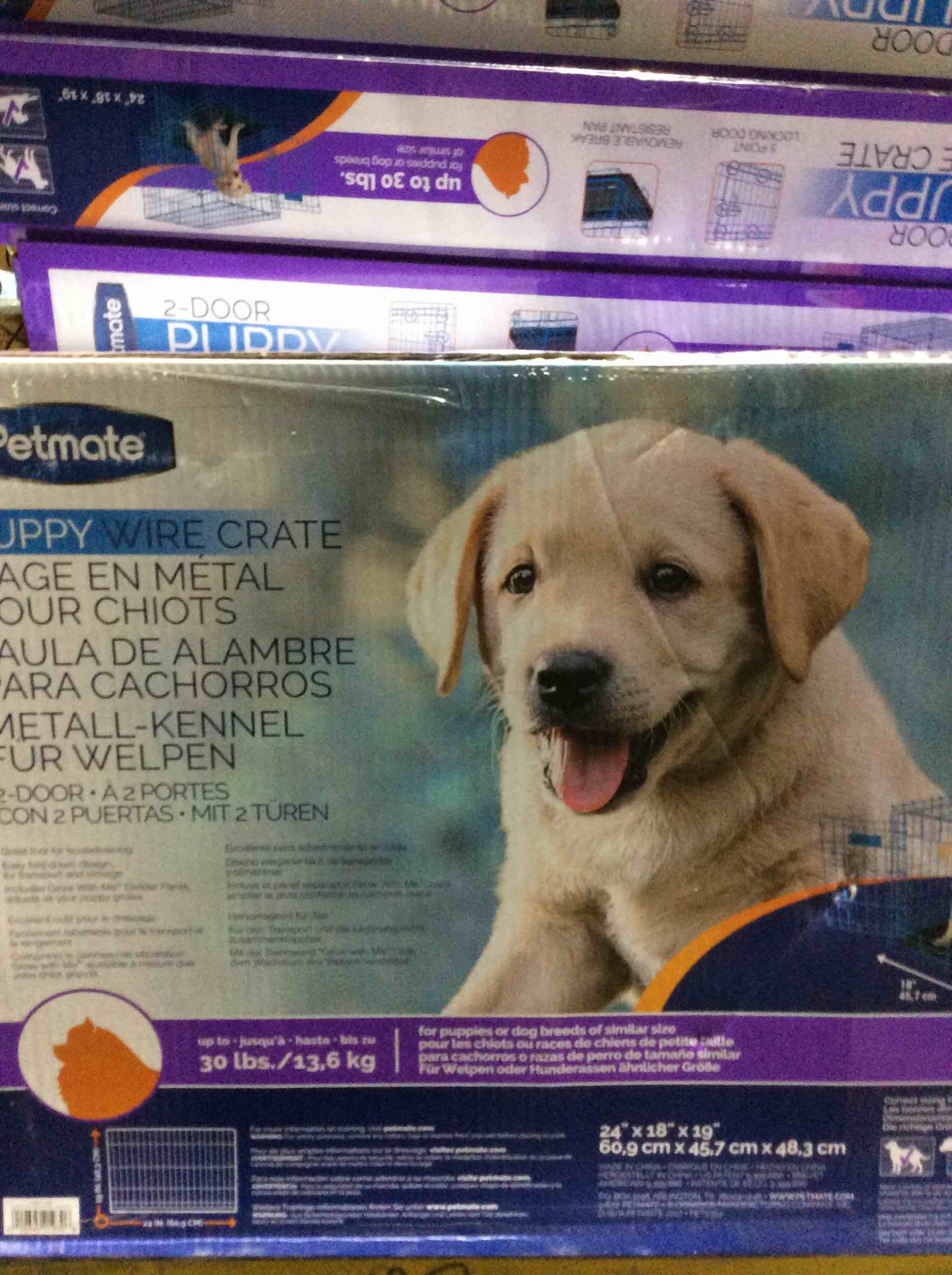 Condition photo showing New/Like New for petmate 21930 puppy 2 door training retreat, 24-inch, blue (b00djra3y4)
