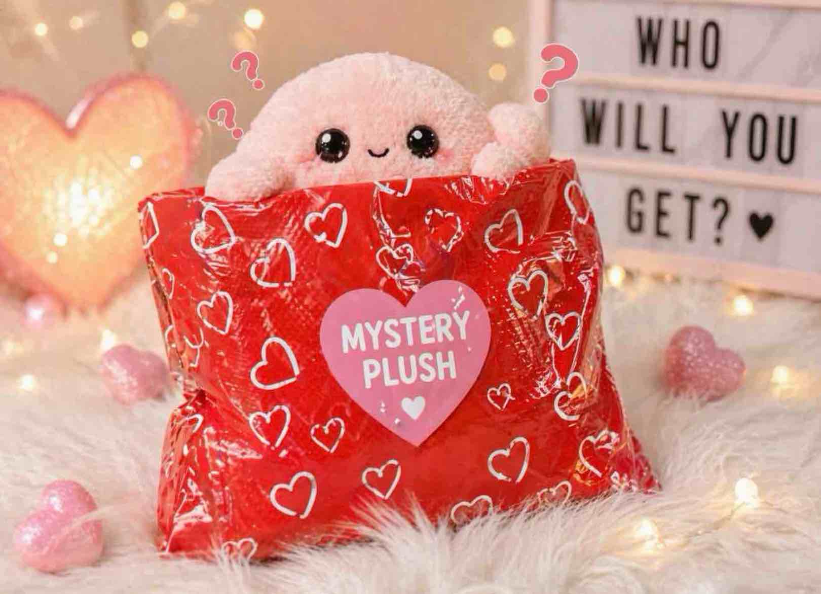Mystery Surprise Plush Toy - Assorted 