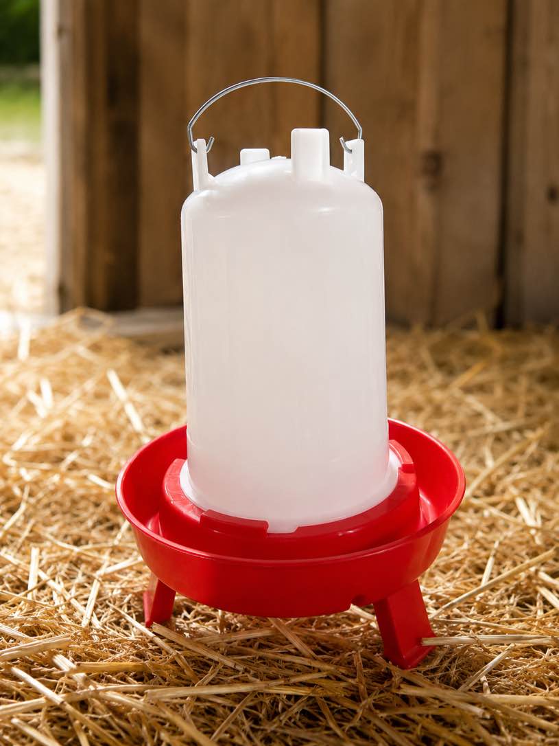 Condition photo showing Brand New for durable, easy-to-fill poultry feeder and waterer with a sturdy carry handle and elevated red base, designed to provide clean, reliable access to feed or water for chicks and small poultry.