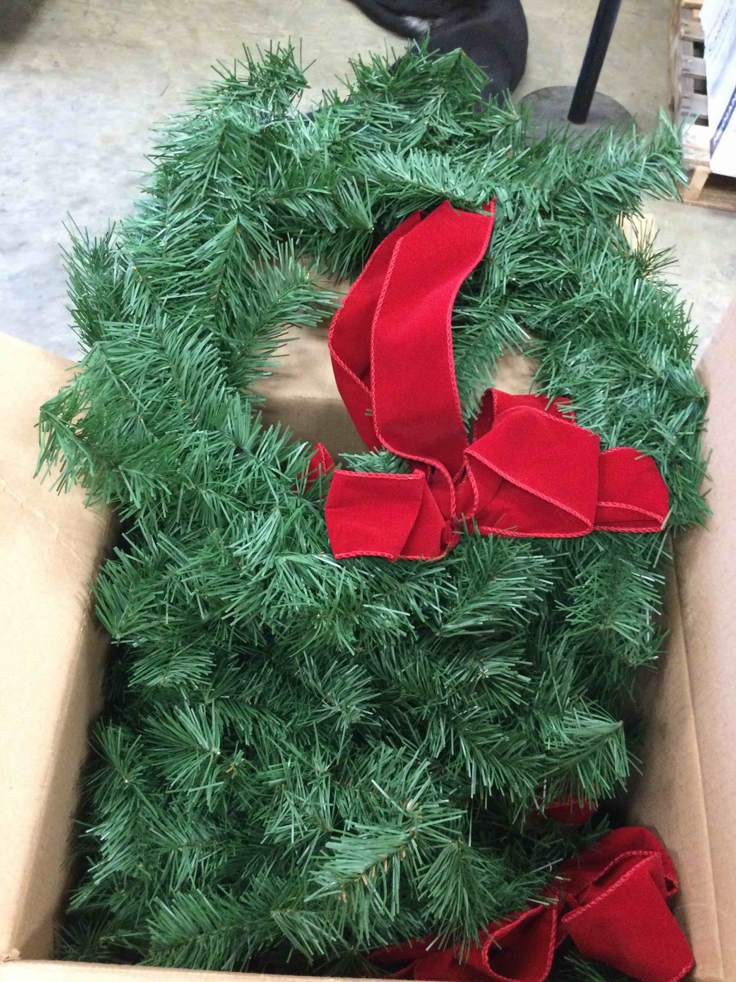 6-pack 24in wreath with velvet bow
