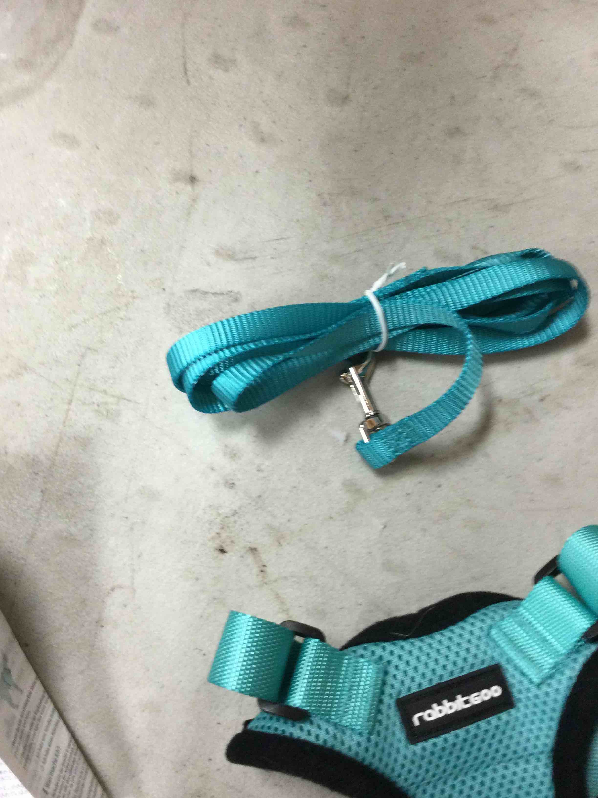 https://s3.amazonaws.com/lotting-images-prod/johnsoncity/ORG3934216_1752154769882.jpeg